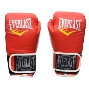 Everlast 1.0 Boxing Gloves