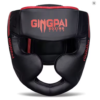 Gingpai Professional 1.0 Headgear